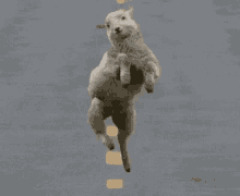 Sheep Dancing GIF - Sheep Dancing Happy GIFs
