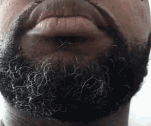 Beard Salt GIF - Beard Salt Pepper GIFs
