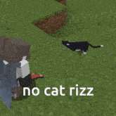 Cat Minecraft GIF - Cat Minecraft Minecraft Cat GIFs