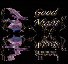 Good Night Water GIF - Good Night Water Reflection GIFs