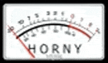 a white gauge with the word horny on it