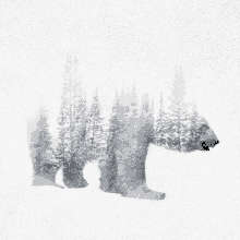 Animals Polar GIF