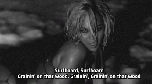 toothless beyonce surfboard