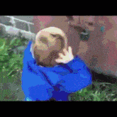 a child in a blue jacket is making a funny face