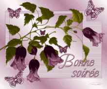 good evening bonne soiree flower butterfly shiny