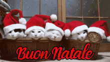 Buon Natale Babbo Natale Vigilia Di Natale Regali Gatti GIF - Happy Christmas Santa Claus Christmas Eve GIFs