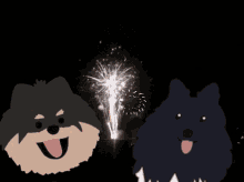New Year Pomeranian GIF - New Year Pomeranian GIFs