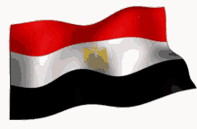flag of egypt egyptian wave
