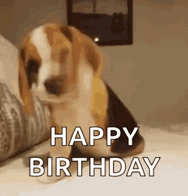 Happy Birthday From A Dog GIFs