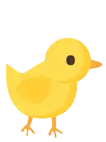 a yellow chick with a black eye and orange beak on a white background