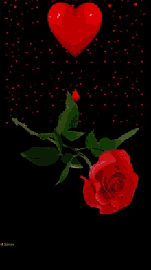Kisses Red Rose GIF