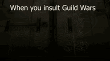 Guild Wars Guild Wars Factions GIF