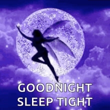 goodnight glitter moon fairy sparkle