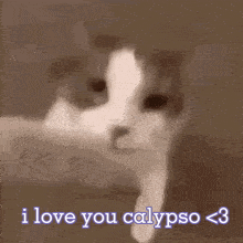 I Love You Calypso GIF - I Love You Calypso GIFs