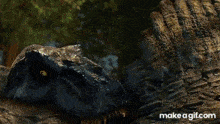 a computer screen shows a picture of a spinosaurus