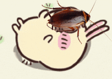 Chiikawa Usagi GIF - Chiikawa Usagi Cockroach GIFs