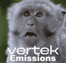Vertek Defi Vertek GIF - Vertek Defi Vertek Vertek Labs GIFs
