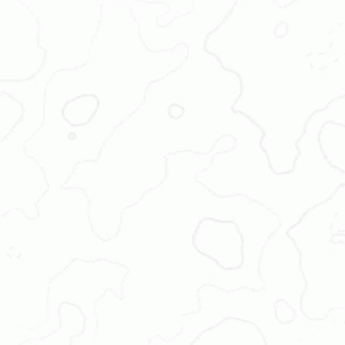 lcg-due-process.gif