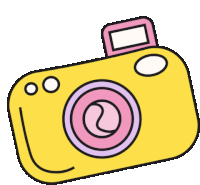 Camera Flash Sticker - Camera Flash Smile Stickers