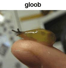 Slug Gloob GIF - Slug Gloob Glubby GIFs