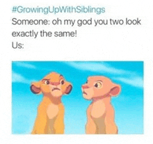 Siblings GIF - Siblings GIFs