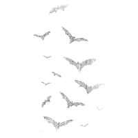 a flock of bats are flying in the sky