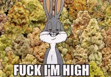Wow GIF - Rabbit Bugs Bunny Fuck Im High GIFs
