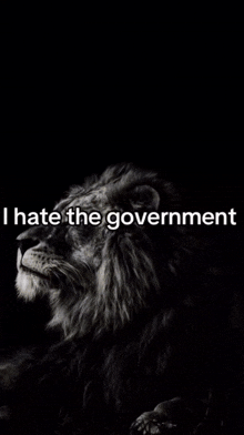 a black and white photo of a lion with the words you just spoke below it
