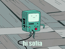 Hi Sofia Sofia GIF - Hi Sofia Sofia Bmo Adventure Time GIFs