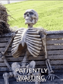 a skeleton sitting on a wooden bench with the words patiently waiting lwts gobooby