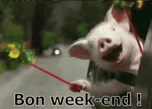 Bon Week-end ! GIF