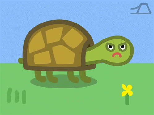Tortoises Turtles GIFs | Tenor