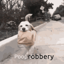 Poop Robbery Dog Images GIF