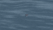 a plane is flying over a body of water with red lines coming out of it
