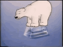 Polar Bear Fox GIF - Polar Bear Fox Mints GIFs