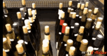 Wine Shop Wine GIF
