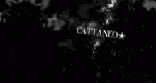 Cattaneo Text You Copy Will Automatically Show Here GIF - Cattaneo Text You Copy Will Automatically Show Here GIFs