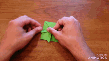 a person is making an origami leaf with the words made in animotica in the bottom right corner