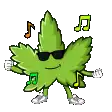 a green marijuana leaf with sunglasses and music notes on it .