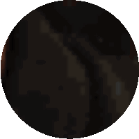 a dark circle with a white border and a few dots on it