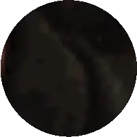 a dark circle with a white border and a few dots on it
