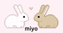 Miyo Mimi GIF - Miyo Mimi Miyo Real GIFs
