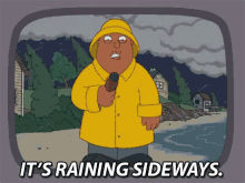 Storm GIF - Storm Family Guy Sideways GIFs