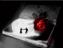 Bed In Love GIF - Bed In Love Love GIFs