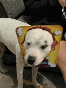 Dog Images Dogs GIF