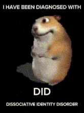 a picture of a hamster with the words i have been diagnosed with dissociative identity disorder