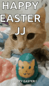 Happy Easter Images2022 Cute Cat GIF - Happy Easter Images2022 Cute Cat GIFs