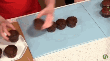 How To Make Pull-apart Turtle Cupcakes GIF - Dessert Cupcakes Turtle GIFs