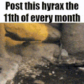 a picture of a snake with the words post this hyrax the 11th of every month