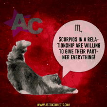 Scorpio Relationship GIF - Scorpio Relationship Cats GIFs